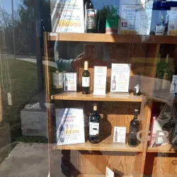 Viña San Pedro - Linares