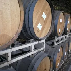 Viña San Pedro - Linares