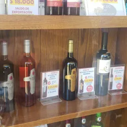 Viña San Pedro - Linares