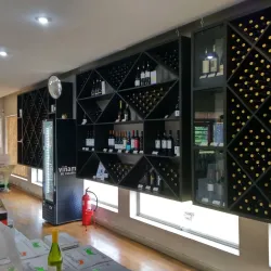 Viña San Pedro - Linares