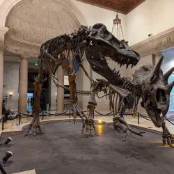 Museo de Los Ángeles - Los Ángeles