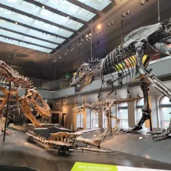 Museo de Los Ángeles - Los Ángeles