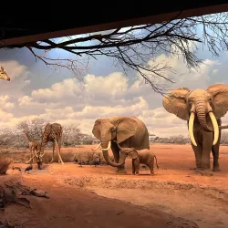 Museo de Los Ángeles - Los Ángeles