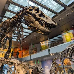 Museo de Los Ángeles - Los Ángeles