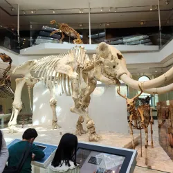 Museo de Los Ángeles - Los Ángeles