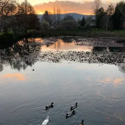 Parque Isla Teja - Los Ángeles