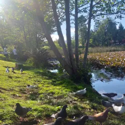 Parque Isla Teja - Los Ángeles