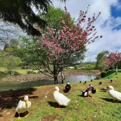 Parque Isla Teja - Los Ángeles