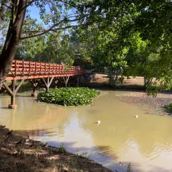 Parque Isla Teja - Los Ángeles