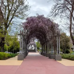 Plaza de Armas de Los Ángeles - Los Ángeles