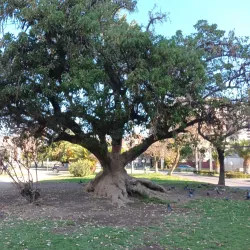 Parque El Llano - Melipilla