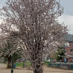 Parque El Llano - Melipilla
