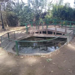 Parque Municipal de Melipilla - Melipilla