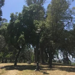 Parque Municipal de Melipilla - Melipilla