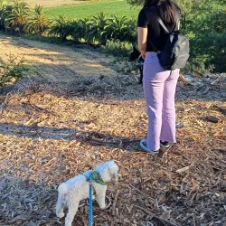 Parque Municipal de Melipilla - Melipilla