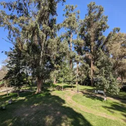 Parque Municipal de Melipilla - Melipilla