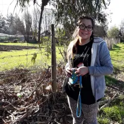 Parroquia San Francisco de Asís - Melipilla