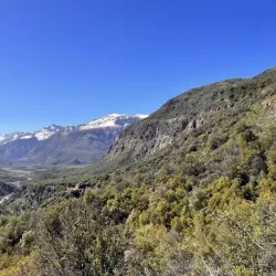 Reserva Nacional Río de los Cipreses - Melipilla
