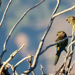 Reserva Nacional Río de los Cipreses - Melipilla