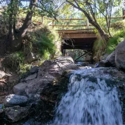 Reserva Nacional Río de los Cipreses - Melipilla