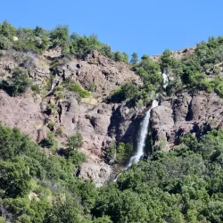 Reserva Nacional Río de los Cipreses - Melipilla