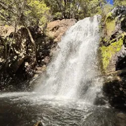 Reserva Nacional Río de los Cipreses - Melipilla