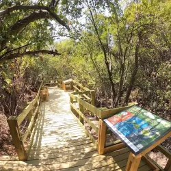 Reserva Nacional Río de los Cipreses - Melipilla