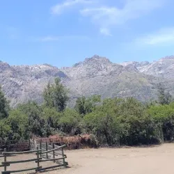 Reserva Nacional Río de los Cipreses - Melipilla