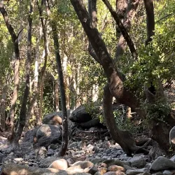 Reserva Nacional Río de los Cipreses - Melipilla