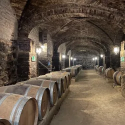 Viña Santa Rita - Melipilla