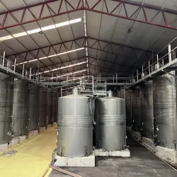 Viña Santa Rita - Melipilla