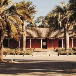 Viña Santa Rita - Melipilla