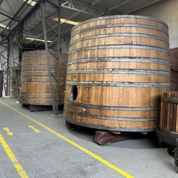 Viña Santa Rita - Melipilla