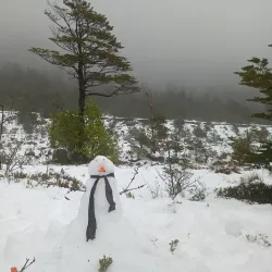 Laguna La Picada - Osorno