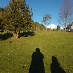 Laguna La Picada - Osorno