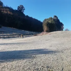 Laguna La Picada - Osorno