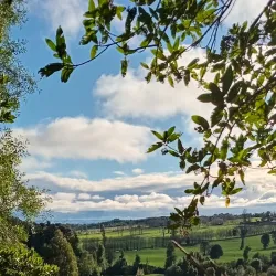 Laguna La Picada - Osorno