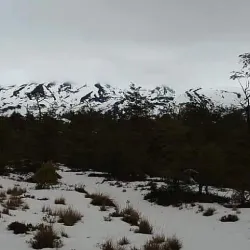 Laguna La Picada - Osorno