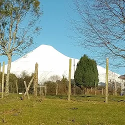 Laguna La Picada - Osorno