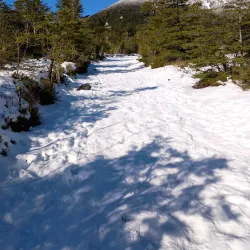 Laguna La Picada - Osorno