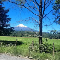 Laguna La Picada - Osorno