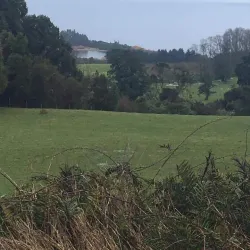 Laguna La Picada - Osorno