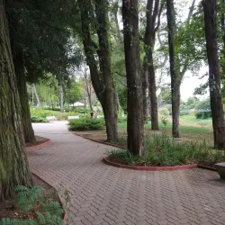 Parque Cuarto Centenario - Osorno