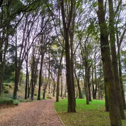Parque Cuarto Centenario - Osorno