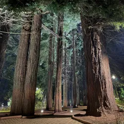 Parque Cuarto Centenario - Osorno