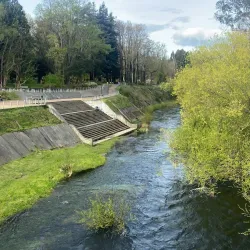 Parque Cuarto Centenario - Osorno