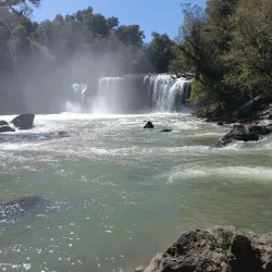 Puyehue National Park - Osorno