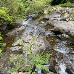 Puyehue National Park - Osorno