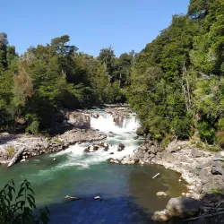 Puyehue National Park - Osorno