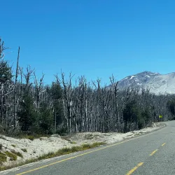 Puyehue National Park - Osorno
